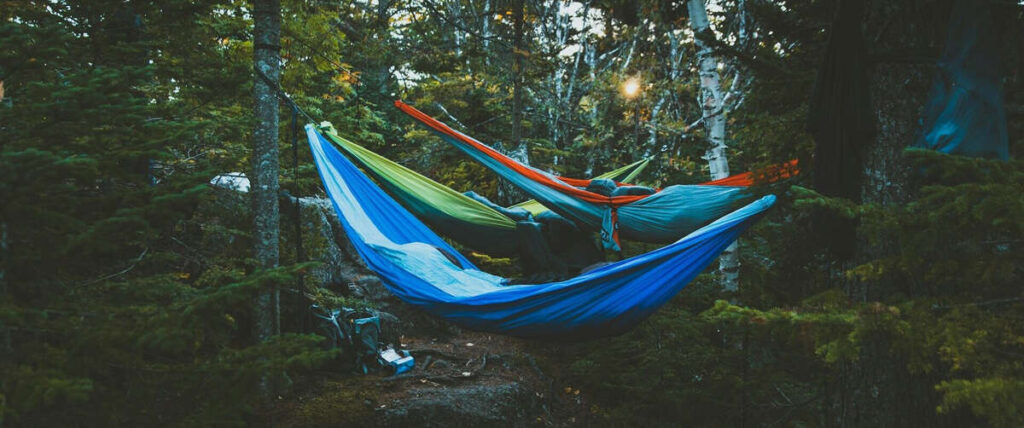 people sleeping in hammocks in a forest